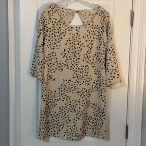 Everly Bird Print Dress